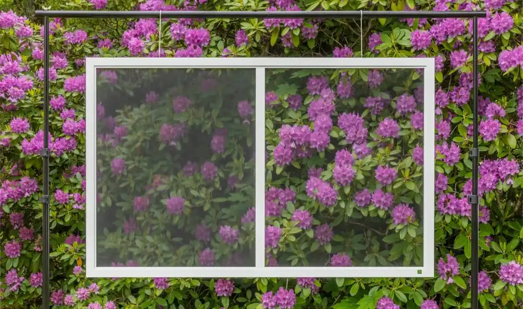 Insektenschutzgitter von Neher mit Pollenschutz vor Blumen